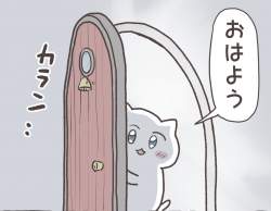 503243 B