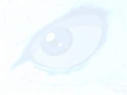 3654064 B