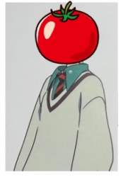 13575 B