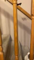2642093 B
