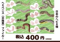 283368 B