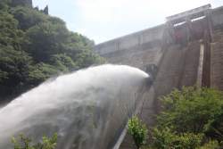 65339 B