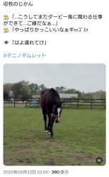 1546576 B