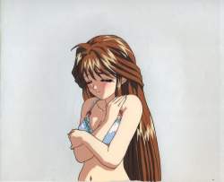 50216 B