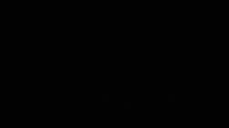 8095338 B