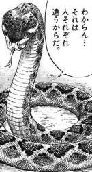 72061 B