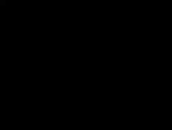 1098095 B
