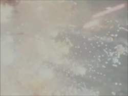 2101082 B