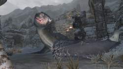 429733 B