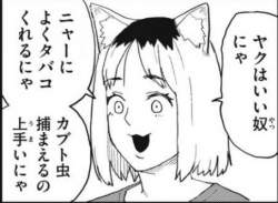 53924 B