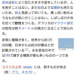 306044 B