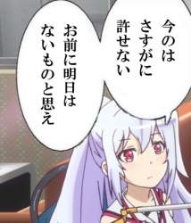41528 B