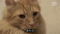 126814 B