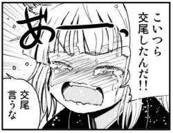 44088 B