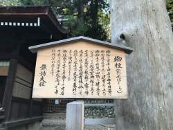 1462498 B