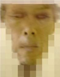 331244 B