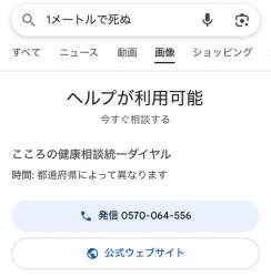 55596 B