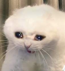 25656 B