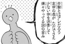 24284 B
