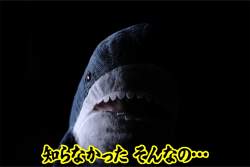 205534 B