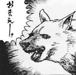 27243 B