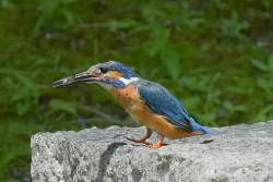 536756 B
