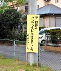 253792 B