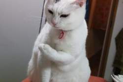 21189 B