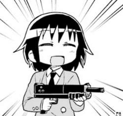 256455 B