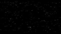 3949819 B