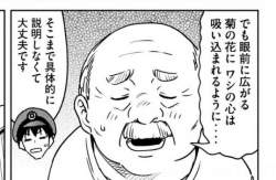 80511 B