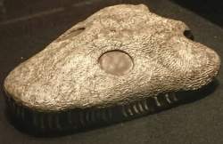 23182 B