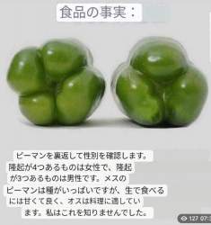 48788 B