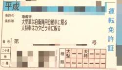 51290 B