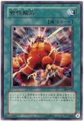 68455 B