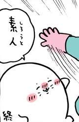 16071 B