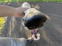 768282 B