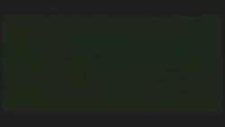 7429204 B
