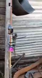 3528926 B