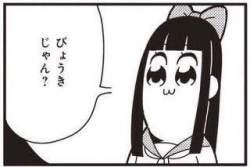 20233 B