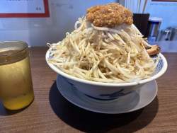 2495271 B