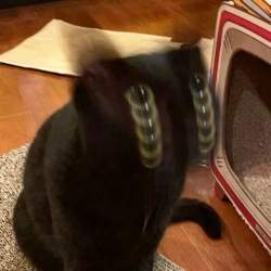 58838 B