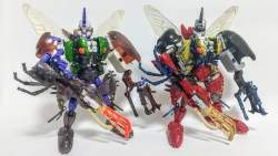 49591 B