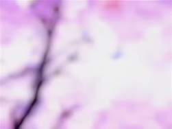 8122817 B