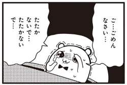 33554 B