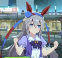 50553 B