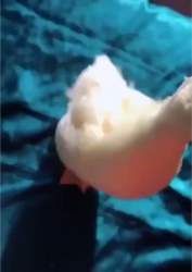 1040707 B