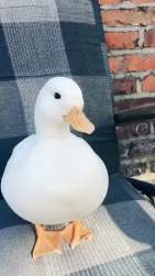 1926049 B
