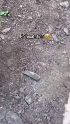 1018677 B