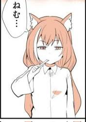 25233 B